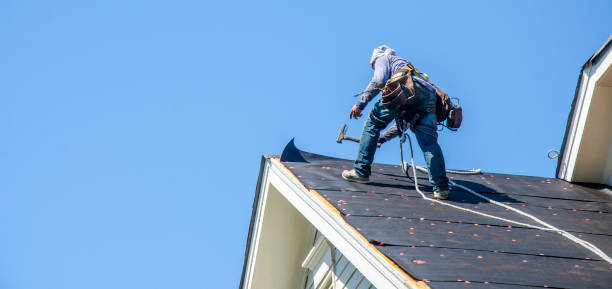 Best Roof Gutter Cleaning  in Grace, ID